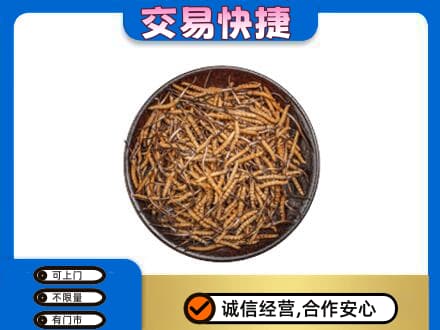 吕梁市临县回收散虫草